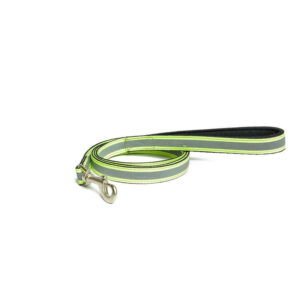 PetWale Reflective Green Leash with Padded Handle (Small)
