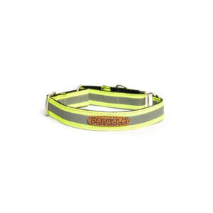 PetWale Reflective Green Martingale Collar (Large)