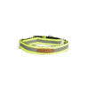 PetWale Reflective Green Martingale Collar (Medium)