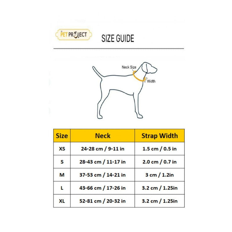 Pet's Pot Classic Collar L - Black - Image 2