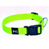 Pet's Pot Classic Collar M - Kiwi