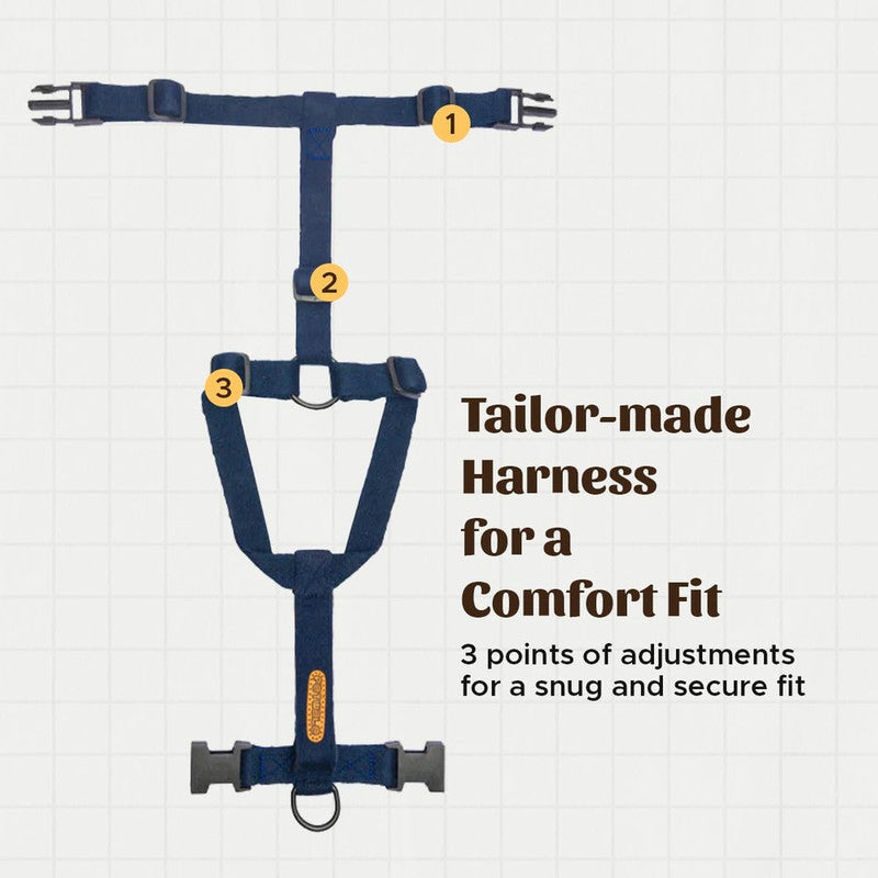 Petwale Navy Blue H-Harness (Large) - Image 3