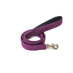 Petwale Purple Leash with Padded Handle