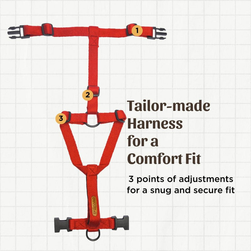 Petwale Red H-Harness (Medium) - Image 4