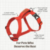 Petwale Red H-Harness (Large)