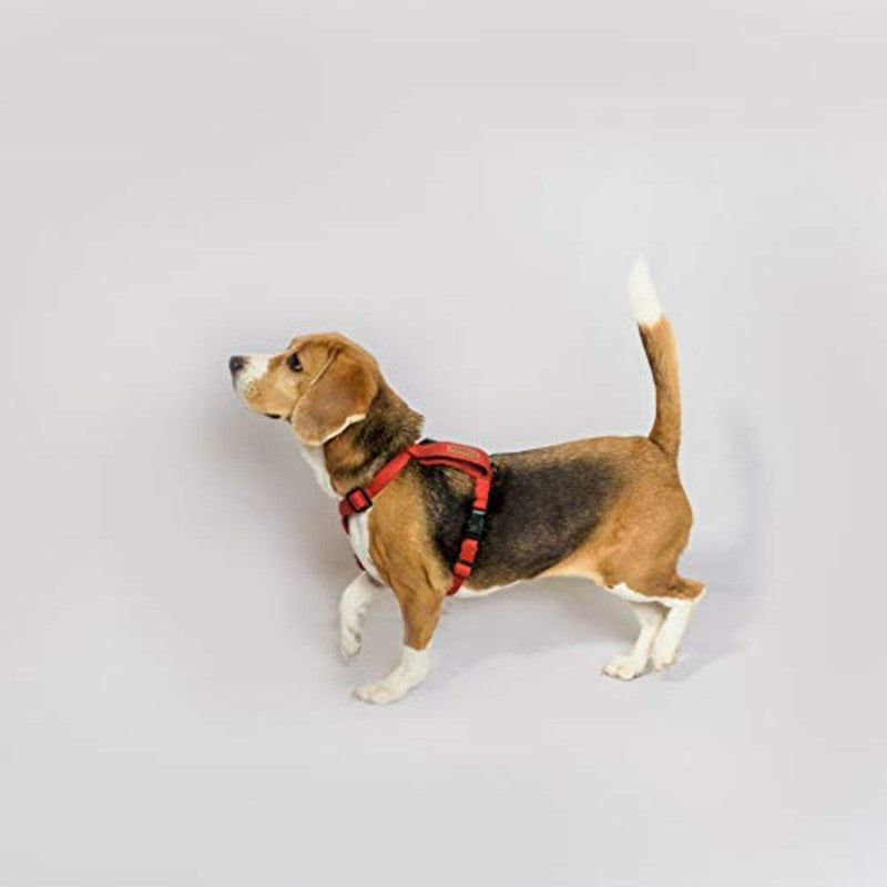 Petwale Red H-Harness (Medium) - Image 3