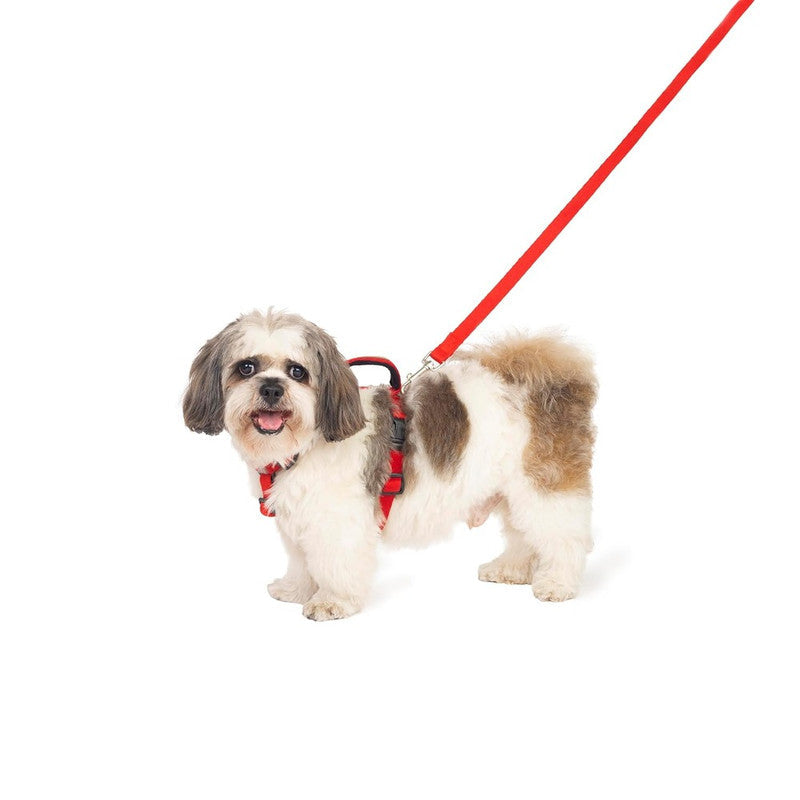 Petwale Red H-Harness (Small) - Image 4