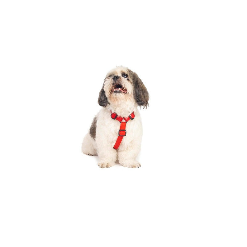 Petwale Red H-Harness (Small) - Image 3
