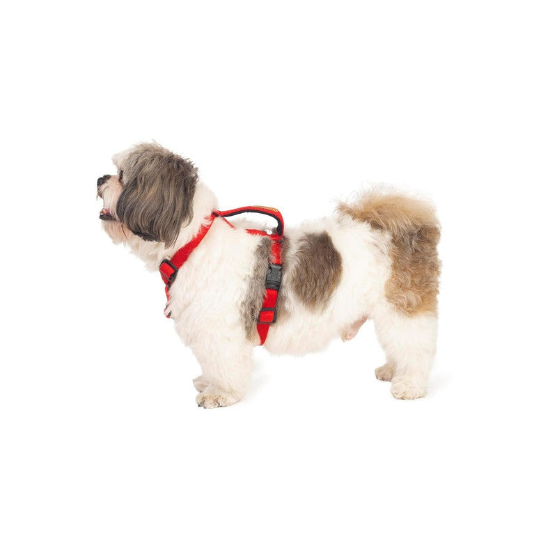 Petwale Red H-Harness (Small) - Image 2