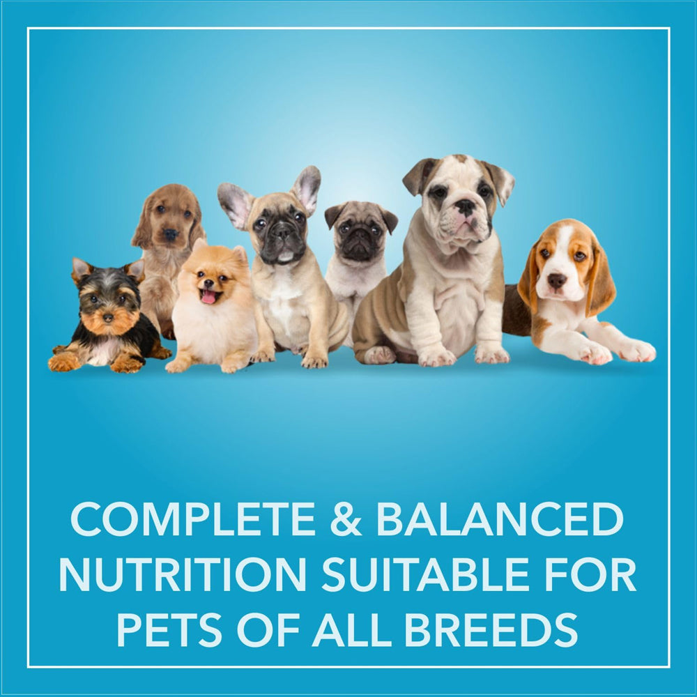 PurePet Puppy Chicken & Vegetables - Image 4