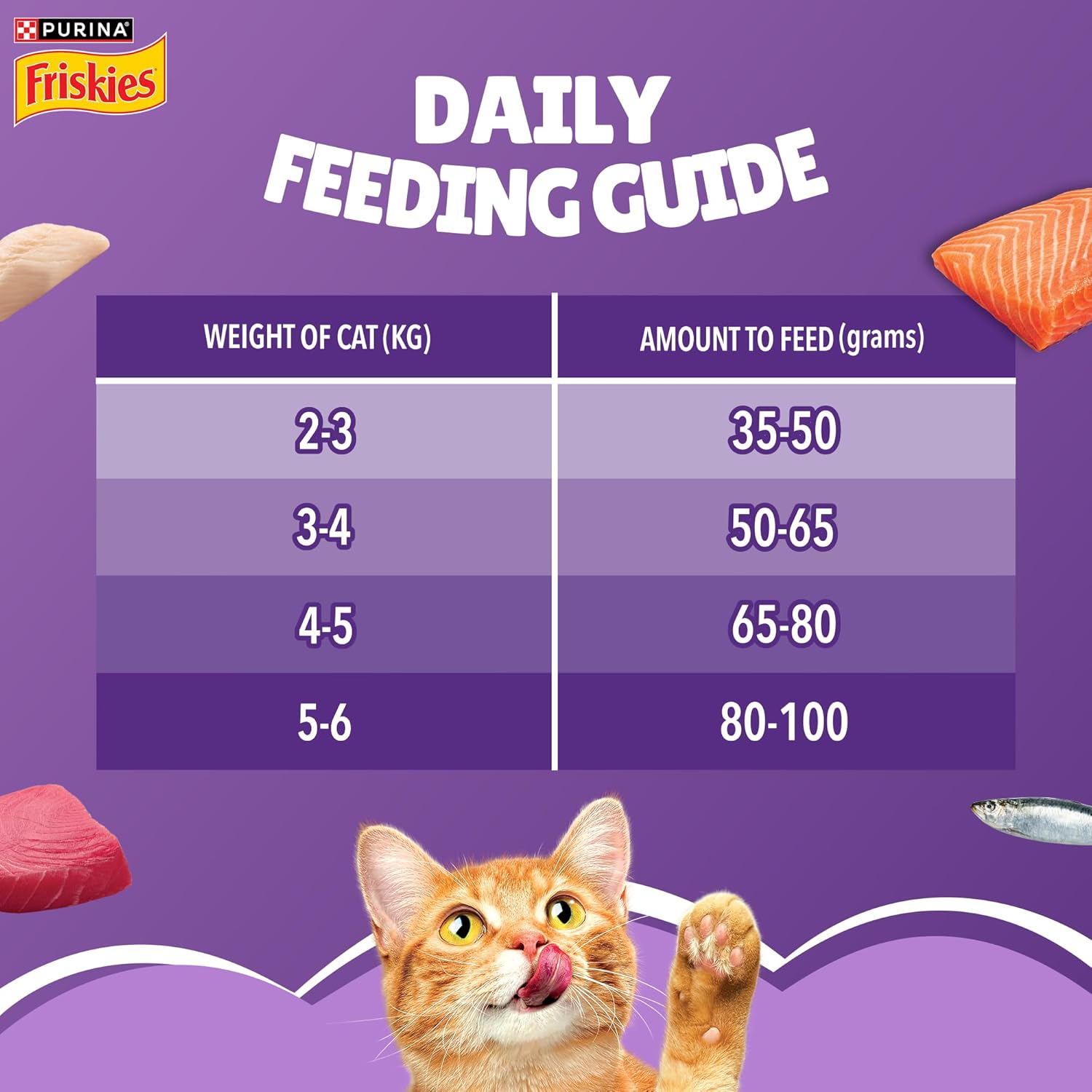Purina Friskies Surfin Cat Dry Food - Image 4