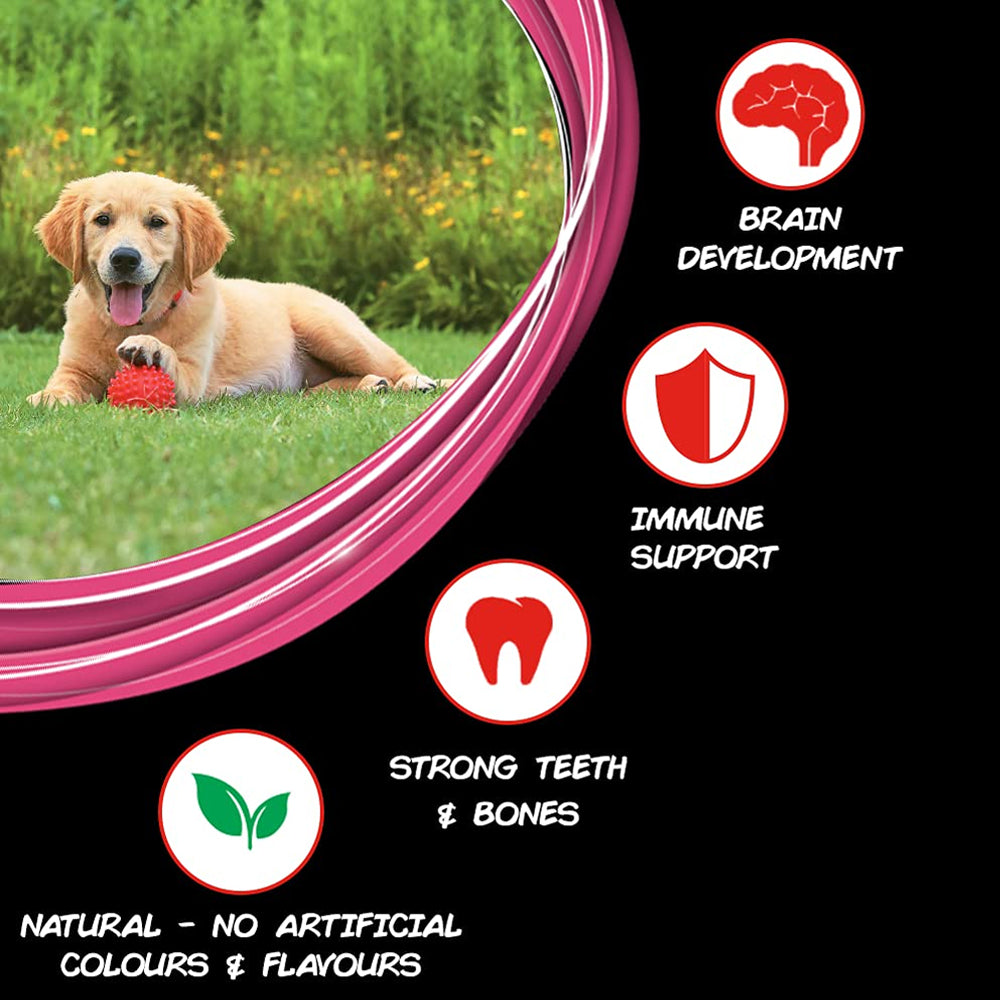 Purina Supercoat Puppy Chicken Dry Food - Image 3