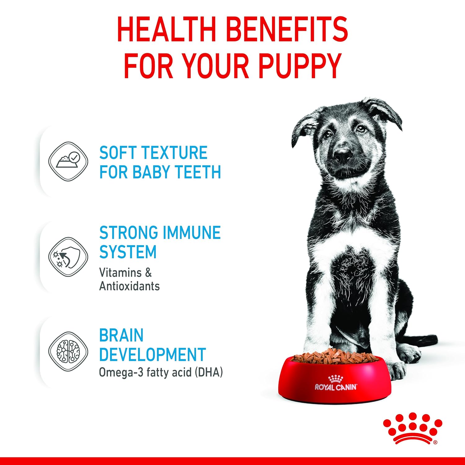 Royal Canin Maxi Puppy Wet Food Gravy 140g ( Multi-Pack ) - Image 6