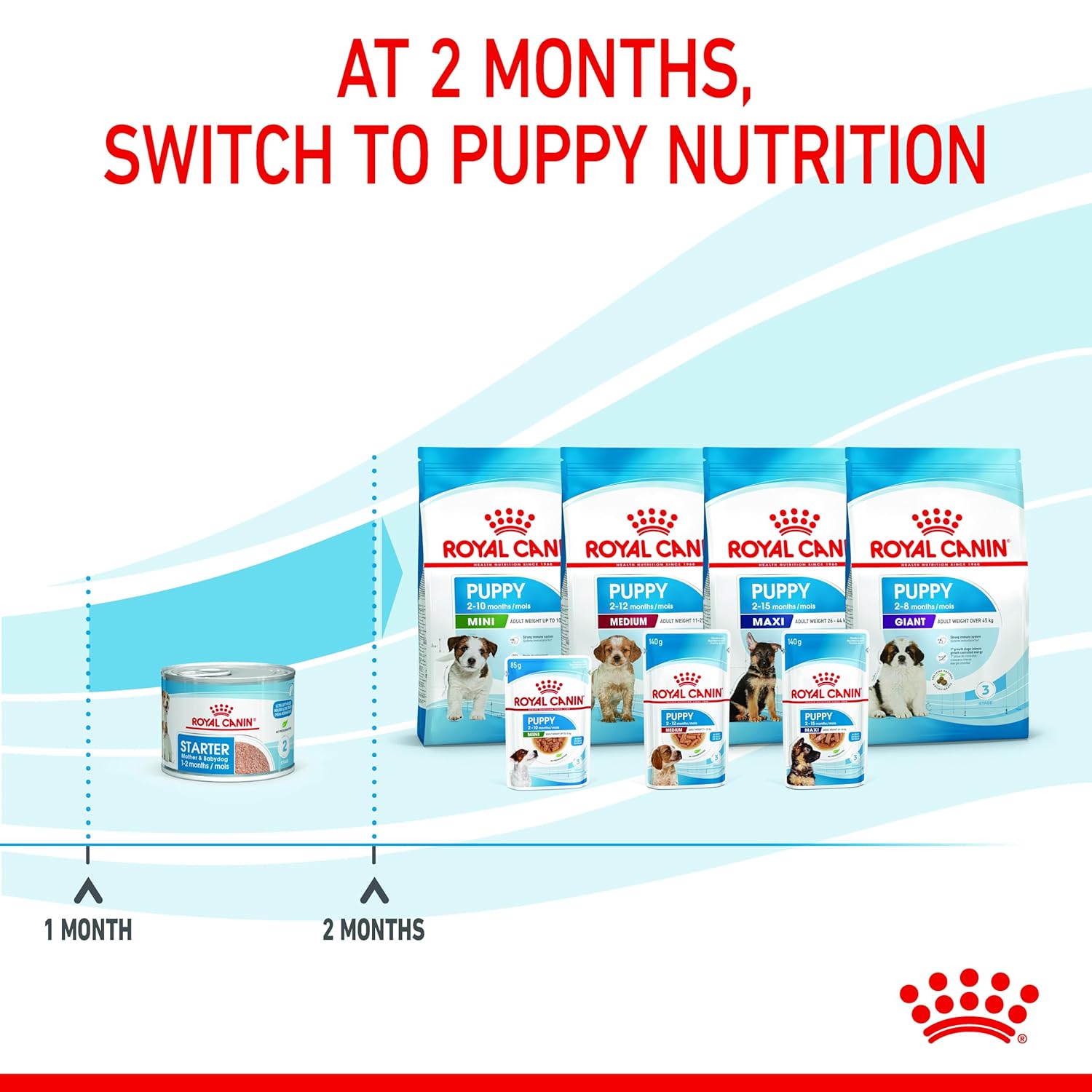 Royal Canin Maxi Puppy Wet Food Gravy 140g ( Multi-Pack ) - Image 5
