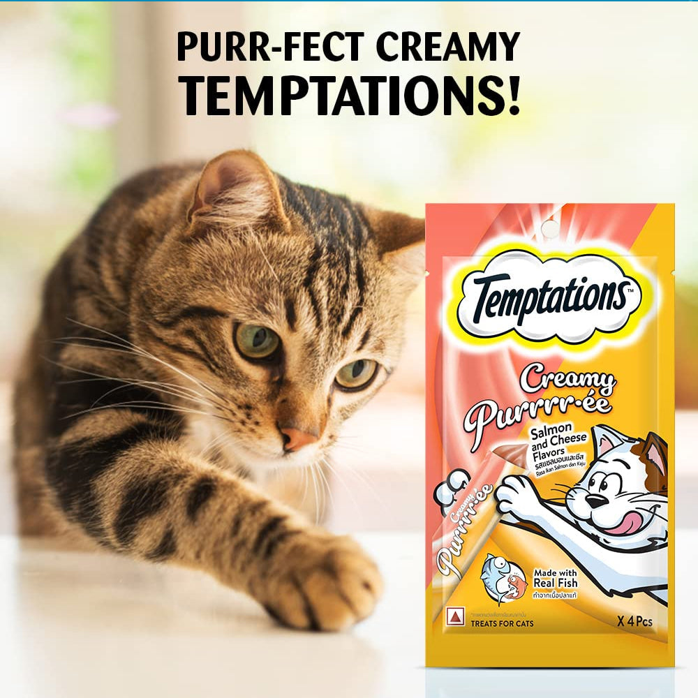 Temptations Creamy Treat Salmon & Chesse 48g - Image 9
