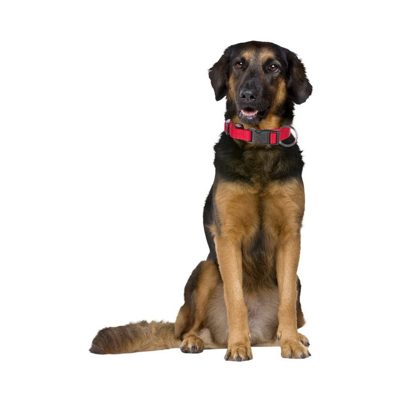 Trixie Classic Collar M-L Red - Image 8