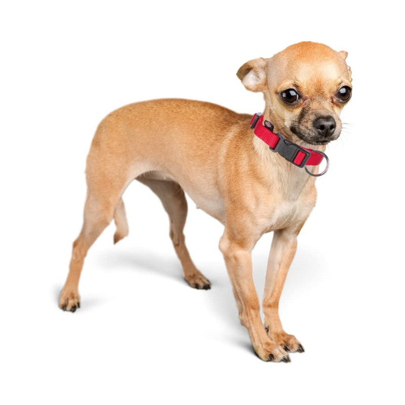 Trixie Classic Collar M-L Red - Image 10