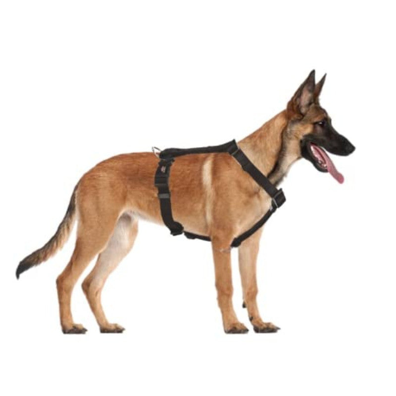 Trixie Classic H-Harness M-L Black - Image 2