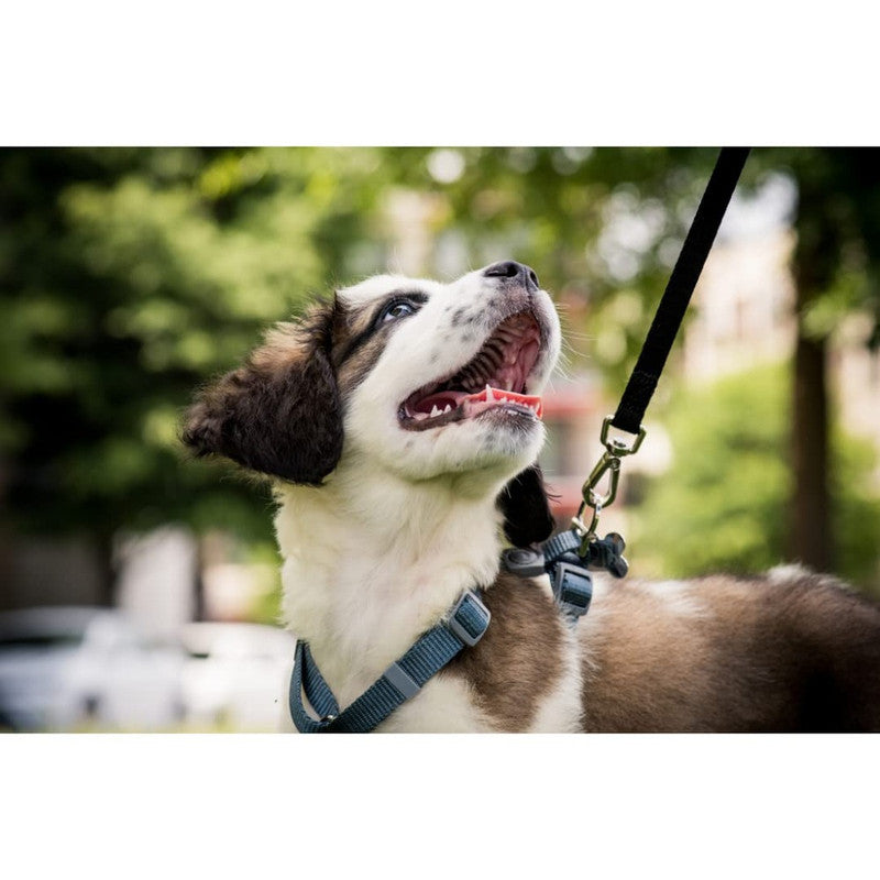 Trixie Classic Leash M-L Black - Image 5