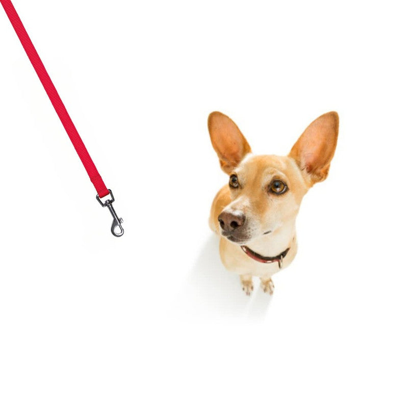 Trixie Classic Leash L-XL Red - Image 3
