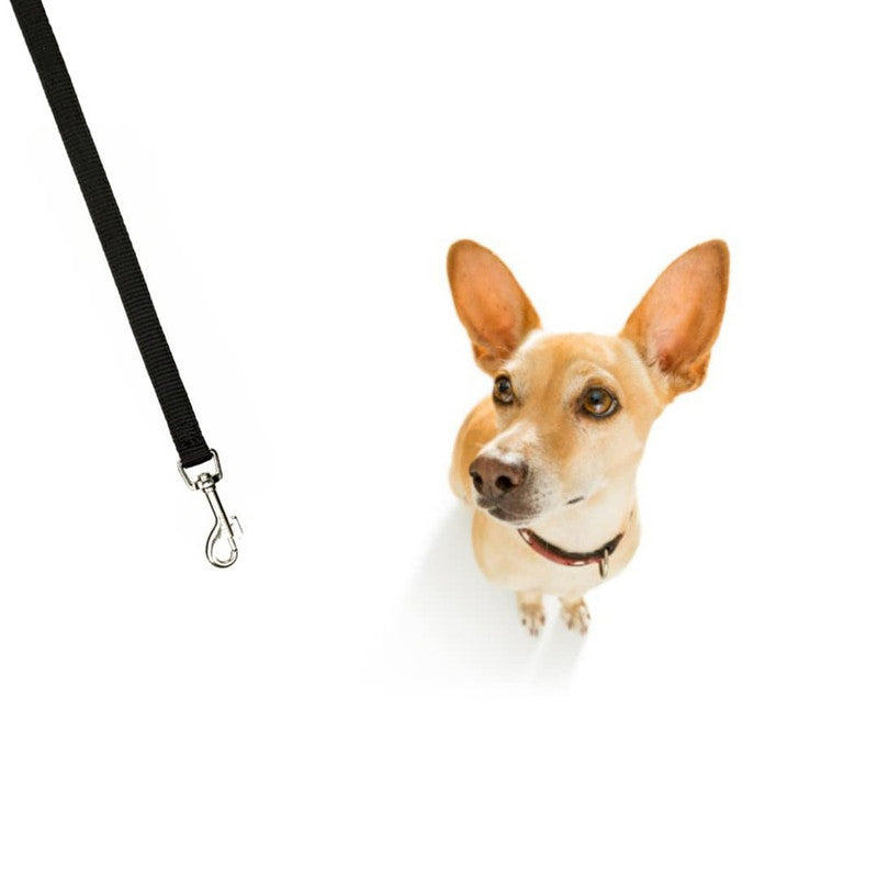 Trixie Leash Black XS-S - Image 5