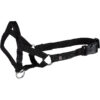 Trixie Training Harness M