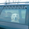 Trixie Ventilation Lattice for Cars 24-70cm