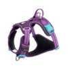Truelove No Pull Cordura Harness Purple-XL