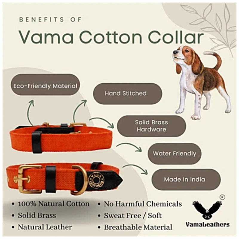 Vama Canvas Collar Orange L - Image 4