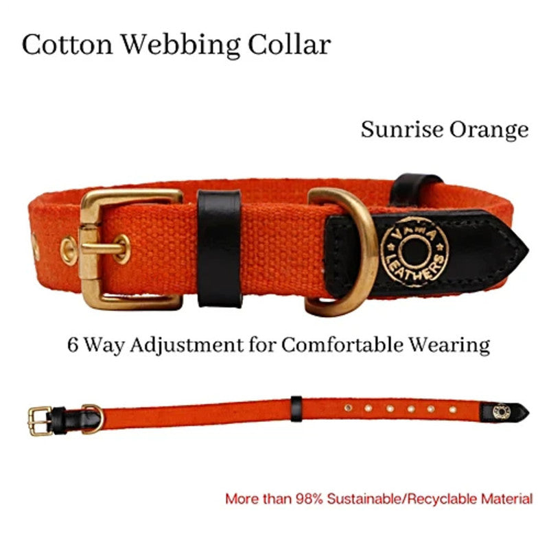 Vama Canvas Collar Orange S - Image 2
