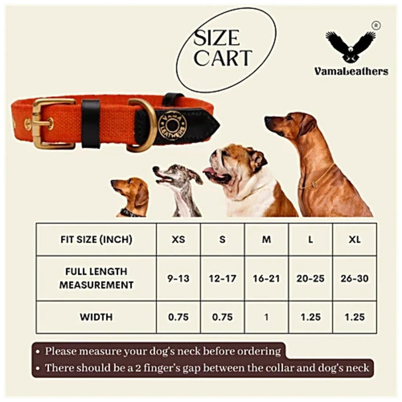 Vama Canvas Collar Orange S - Image 5