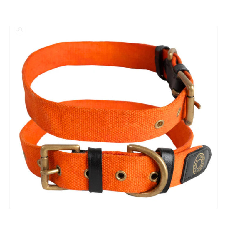 Vama Canvas Collar Orange L - Image 2