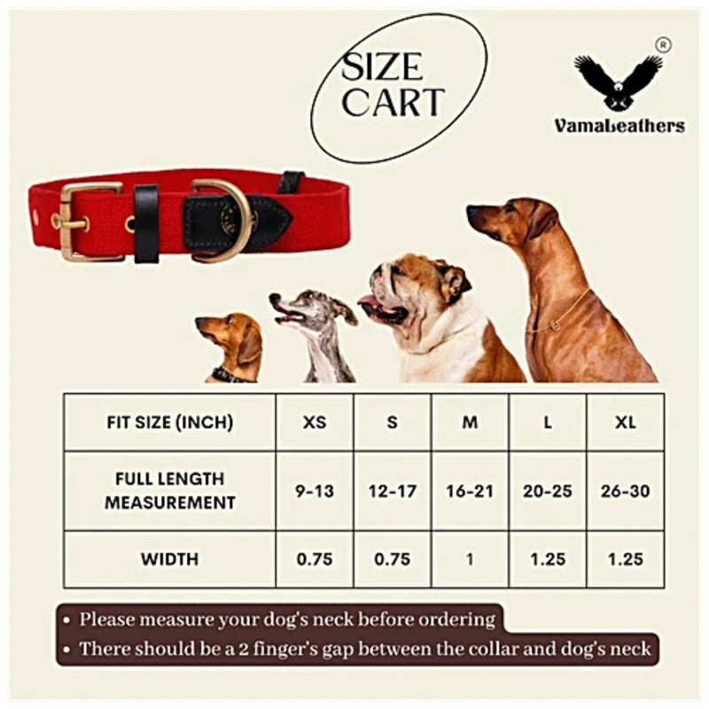 Vama Canvas Collar Red M - Image 5
