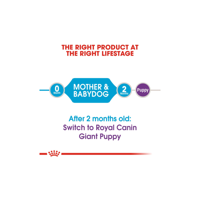 Royal Canin Giant Breed Dog and Puppies Starter Dry Food - Image 5