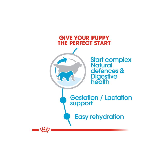 Royal Canin Giant Breed Dog and Puppies Starter Dry Food - Image 6
