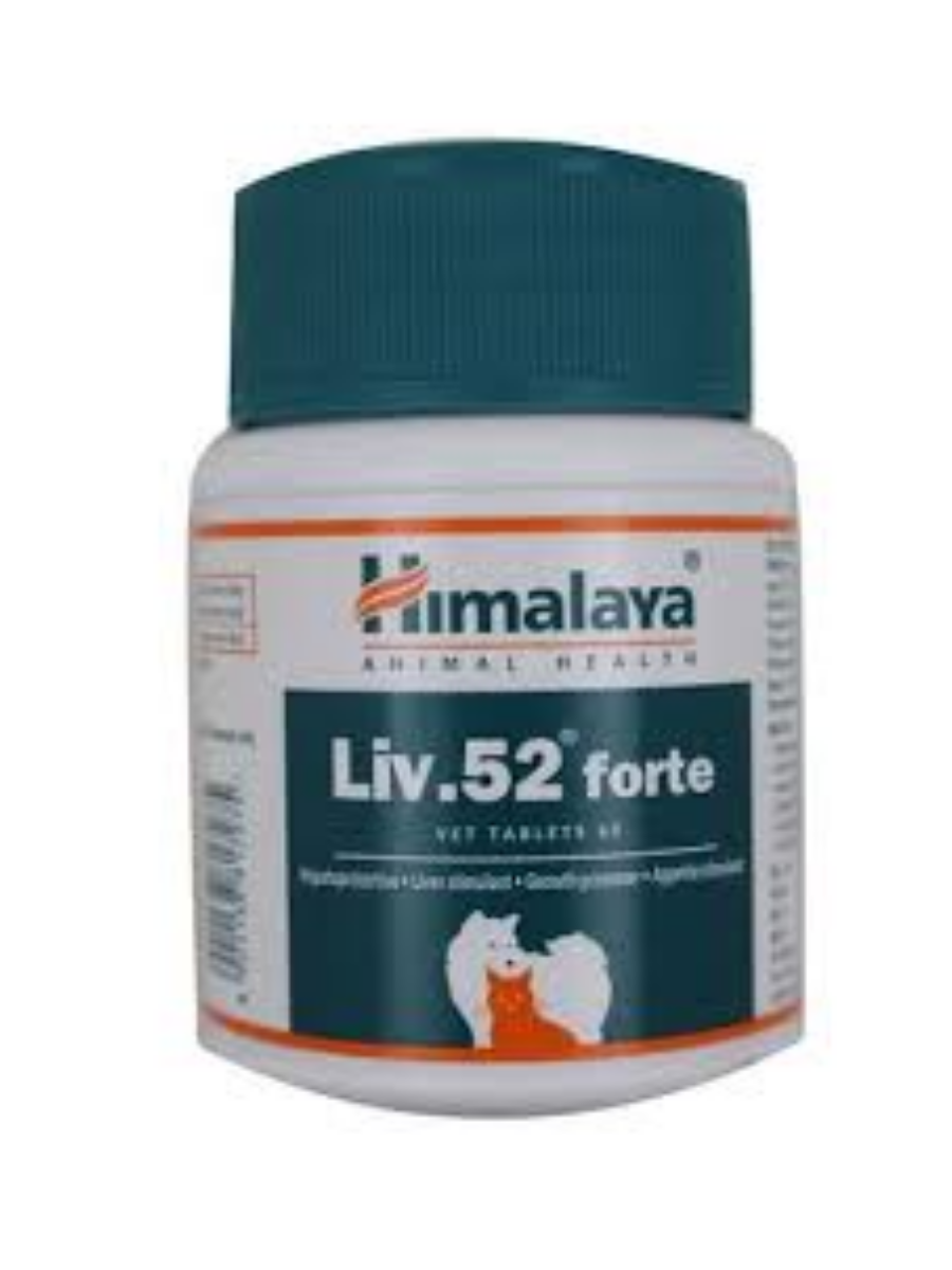 Himalaya Liv-52 Forte DS