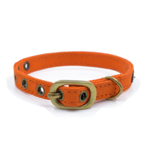 PetWale Cat Collar - Orange