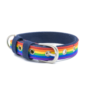 Petwale Rainbow Pride Belt Collar - L