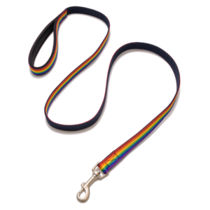 PetWale Rainbow Pride Leash with Padded Handle - L