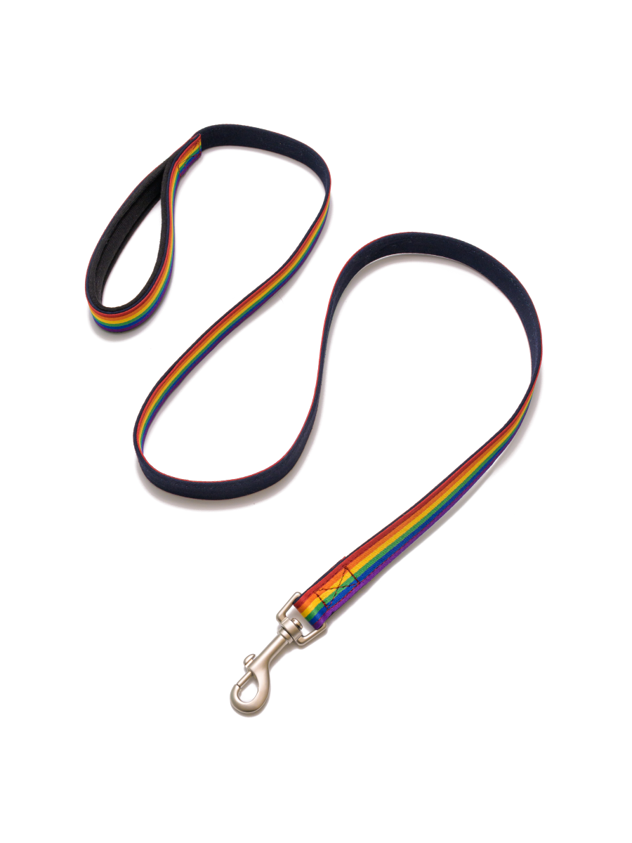 PetWale Rainbow Pride Leash with Padded Handle - L