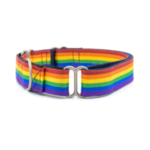 PetWale Rainbow Pride Martingale Collar - M