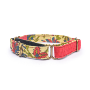 Petwale Red Dog Martingale Collar - S
